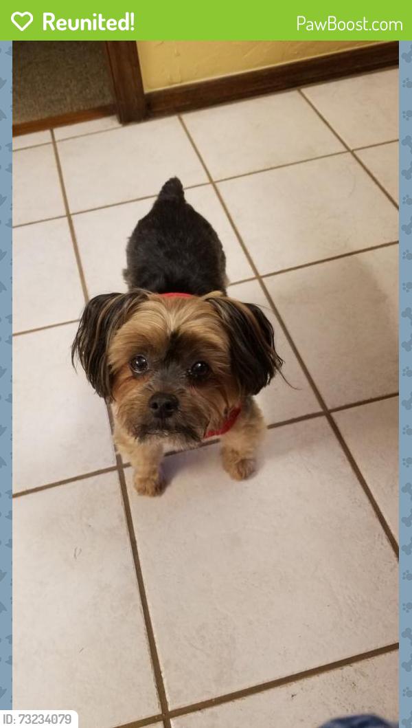 Reunited Male Dog last seen Glade & Hurstview, Hurst, TX 76054
