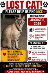 Lost Male Cat last seen Near vineyard lane, McKinney, TX 75070