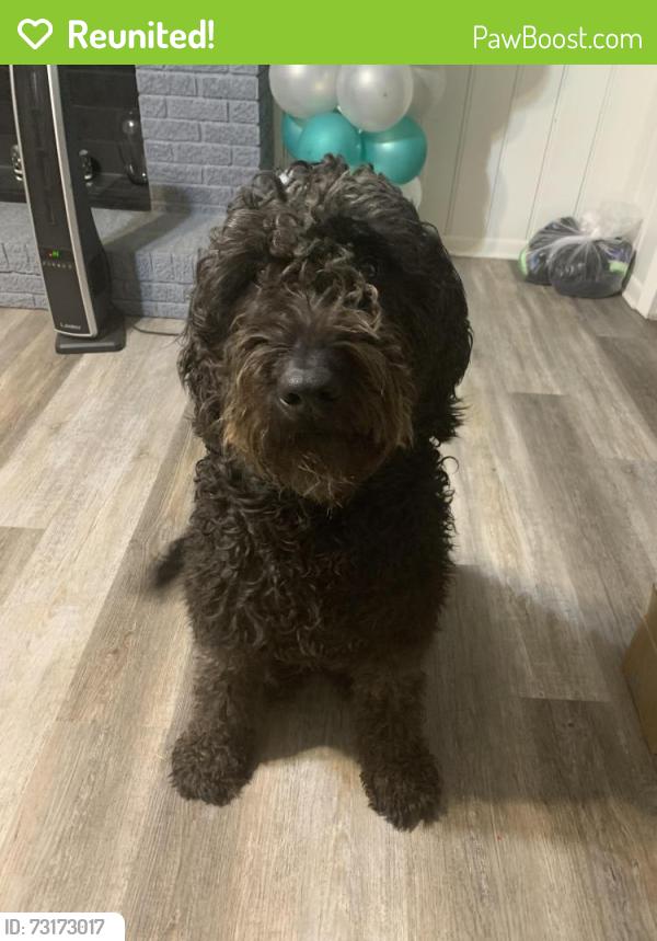 Reunited Male Dog last seen Buckner Blvd, Dallas, TX 75227