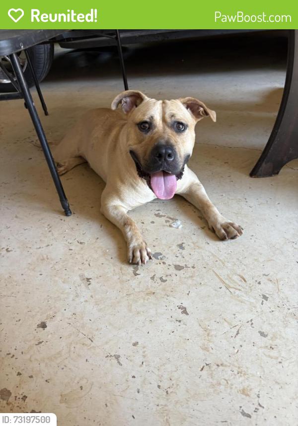Reunited Male Dog last seen Near wrexham dr, Snellville, GA 30039