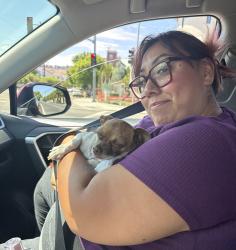 Found/Stray Male Dog last seen Center rd, San Jose, CA 95134