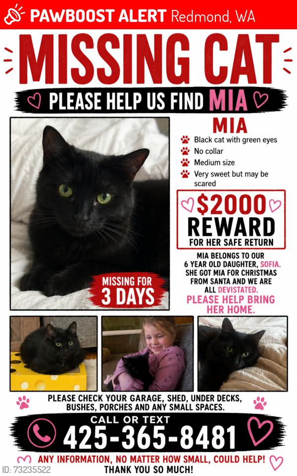 Lost Female Cat last seen West lake samm, Redmond, WA 98052