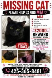 Lost Female Cat last seen West lake samm, Redmond, WA 98052
