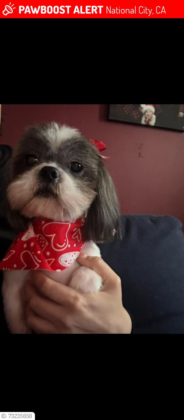 Lost Female Dog last seen Imperial liquor store, National City, CA 91950
