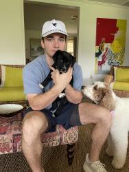 Reunited Female Dog last seen Henderson, Dallas, TX 75206