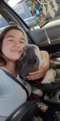 Reunited Male Dog last seen Jurupa & Troth JURUPA VALLEY CA, Jurupa Valley, CA 91752