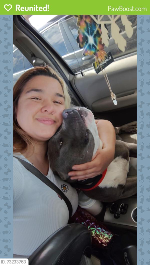 Reunited Male Dog last seen Jurupa & Troth JURUPA VALLEY CA, Jurupa Valley, CA 91752