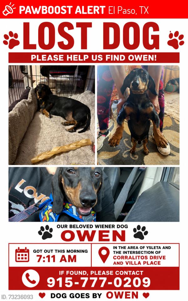 Lost Male Dog last seen Corralitos Dr and Villa PL, El Paso, TX 79907