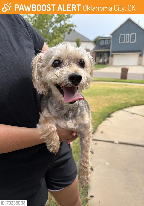Found/Stray Male Dog last seen Wild horse dr, Oklahoma City, OK 73099