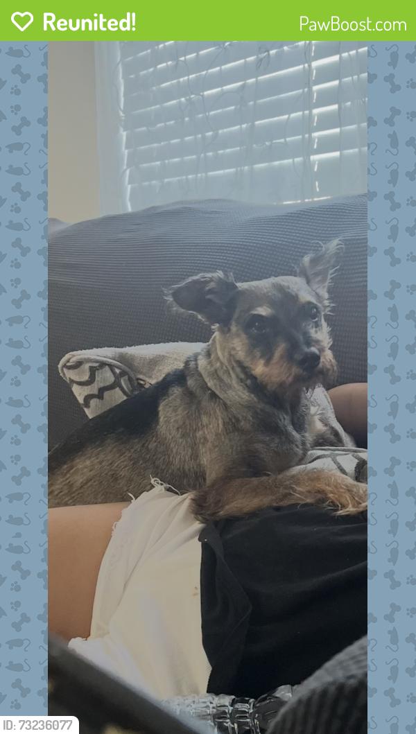 Reunited Male Dog last seen Near Cypress River Dr, Katy, TX 77449, USA, Katy, TX 77449