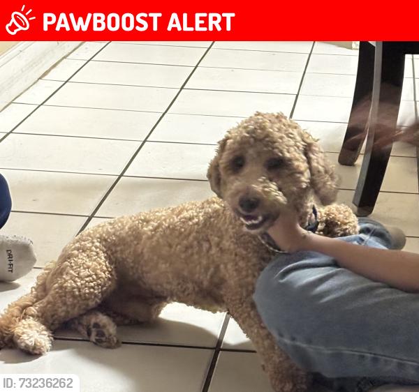 Lost Male Dog last seen Close to Northlake, West Palm Beach, FL 33403