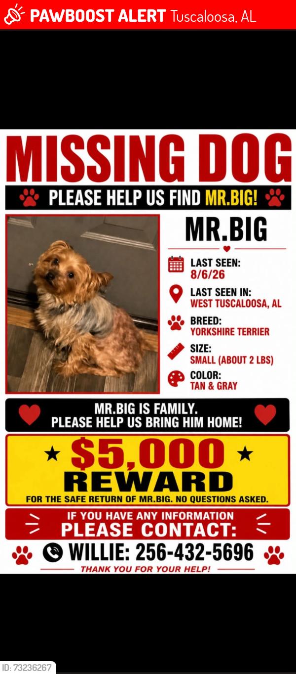 Lost Male Dog last seen Phoenix hse, Tuscaloosa, AL 35401