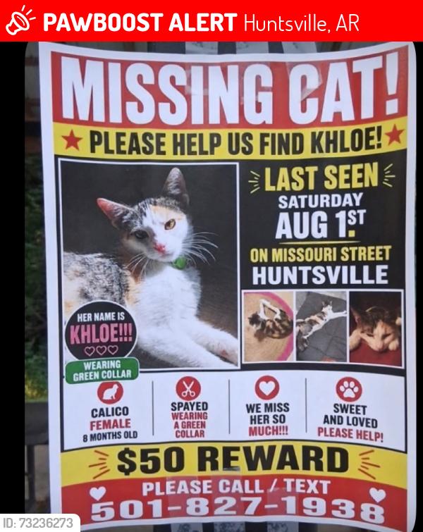 Lost Female Cat last seen Missouri Streer, Huntsville, AR 72740