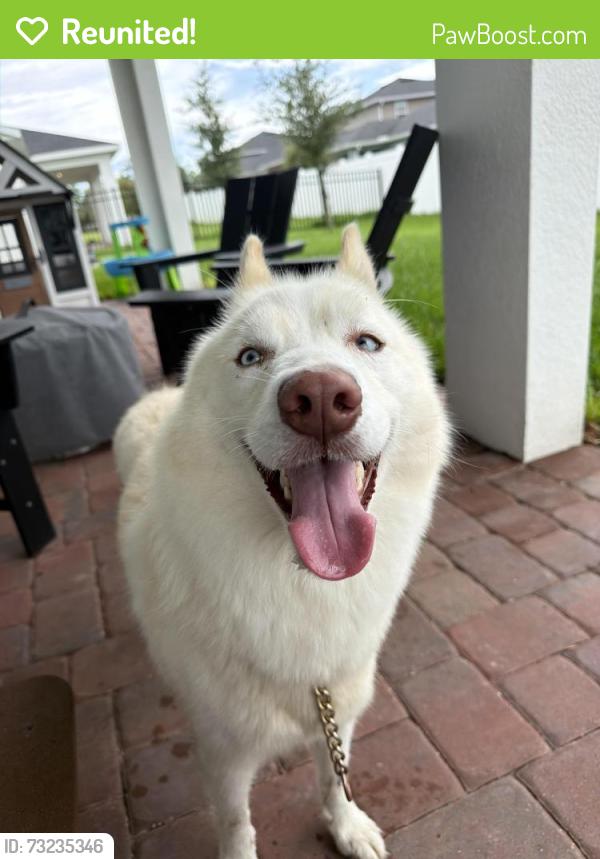 Reunited Male Dog last seen Celery and Riverside Oaks Way, Sanford, FL 32771