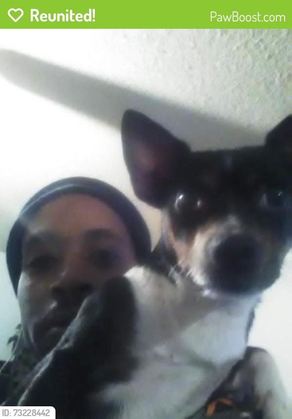 Reunited Male Dog last seen Near Village trail, Nashville, TN 37207