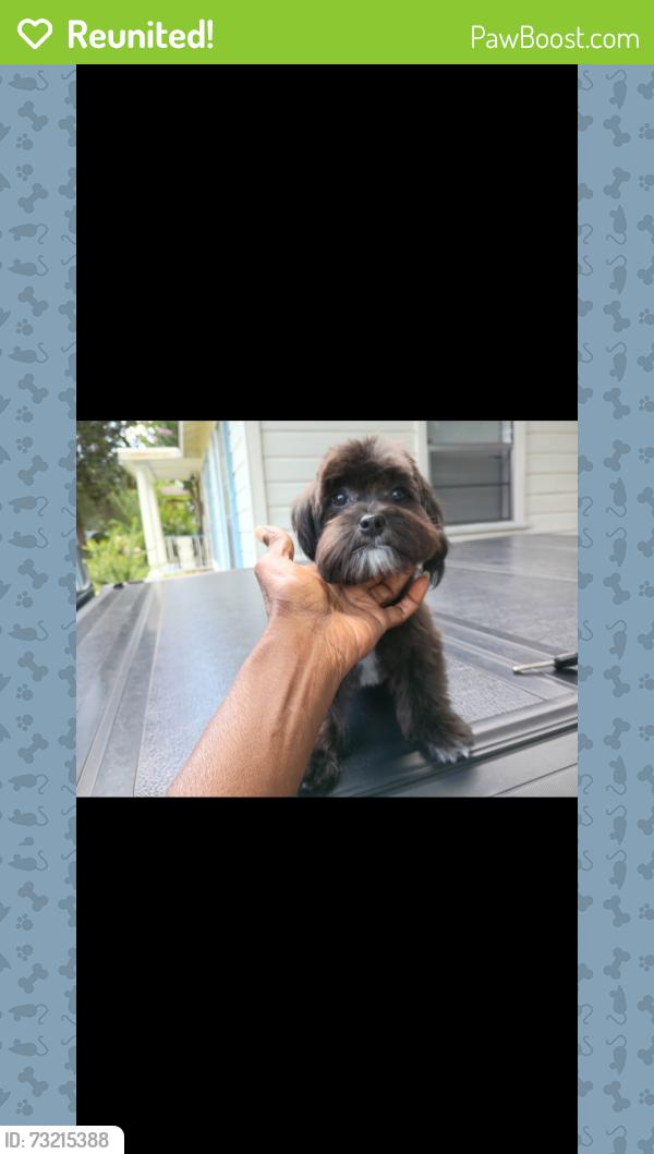 Reunited Male Dog last seen Miles st, broadway,, Shreveport, LA 71109