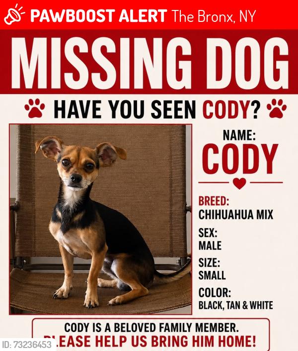 Lost Male Dog last seen Andrews Ave South and West Tremont Ave, The Bronx, NY 10453