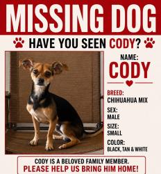 Lost Male Dog last seen Andrews Ave South and West Tremont Ave, The Bronx, NY 10453