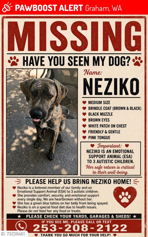 Lost Female Dog last seen winco off 176th, Graham, WA 98387
