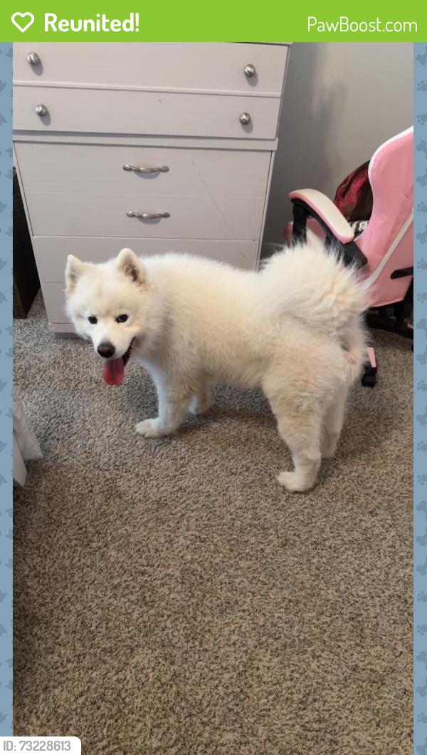 Reunited Male Dog last seen Near round rock ln Fort Worth, Fort Worth, TX 76140