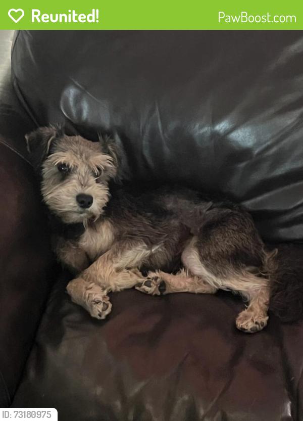 Reunited Female Dog last seen Bluegill, San Antonio, TX 78224