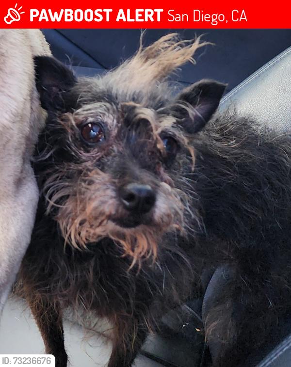 Lost Female Dog last seen Mira mesa blvd and scripps ranch blvd, San Diego, CA 92131