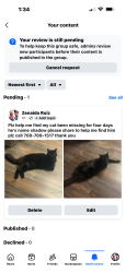 Lost Male Cat last seen Bartow, Bartow, FL 33830