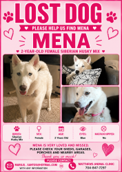 Lost Female Dog last seen Crestdale crossing dr Matthews, Matthews, NC 28105