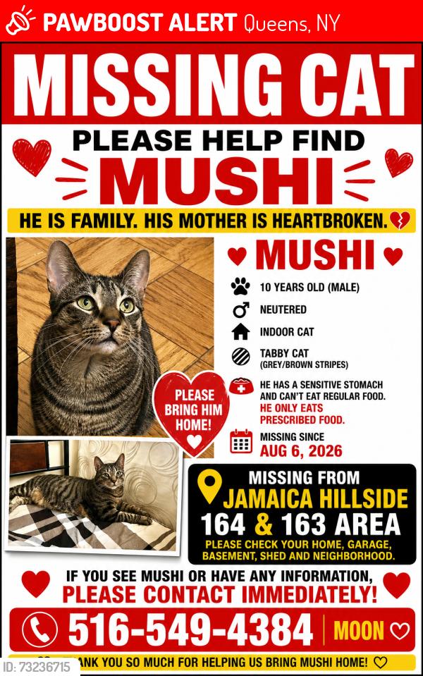 Lost Male Cat last seen 164th Street Jamaica, Hillside, Queens, NY 11367