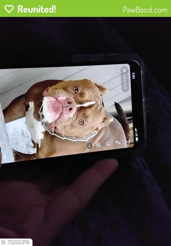 Reunited Female Dog last seen N 5th ave, Brighton, CO 80601