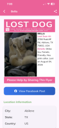 Lost Female Dog last seen Baylor street, Abilene, TX 79602