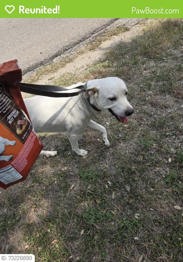Reunited Male Dog last seen Sir Galahad, Canyon Lake, TX 78133