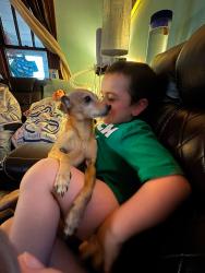 Lost Female Dog last seen Williams Ave. and Jones Street, East Point, GA 30344