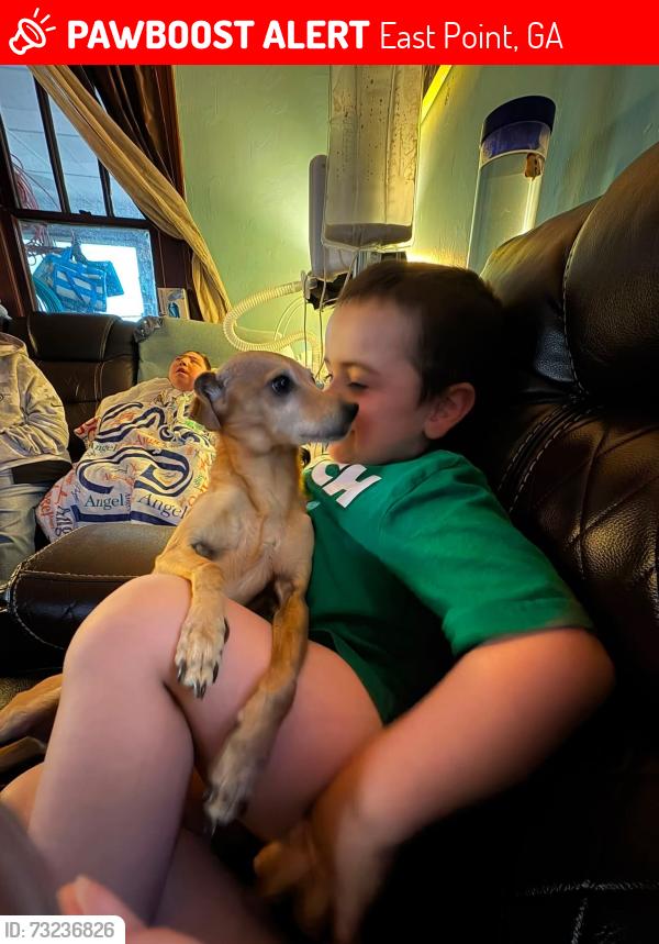 Lost Female Dog last seen Williams Ave. and Jones Street, East Point, GA 30344