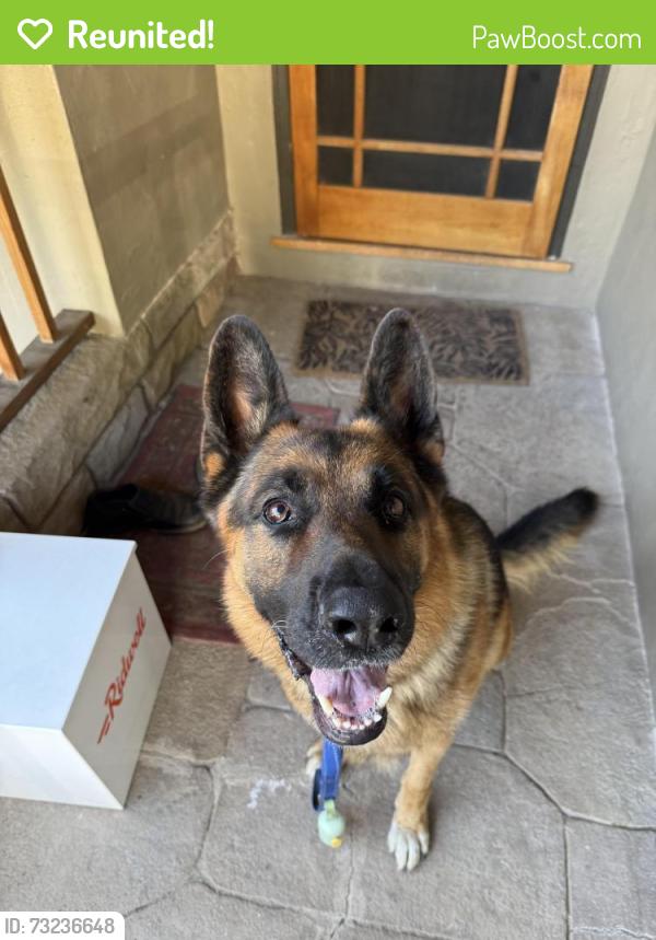 Reunited Male Dog last seen Atlas Ave and Redwood Rd, Oakland, CA 94619