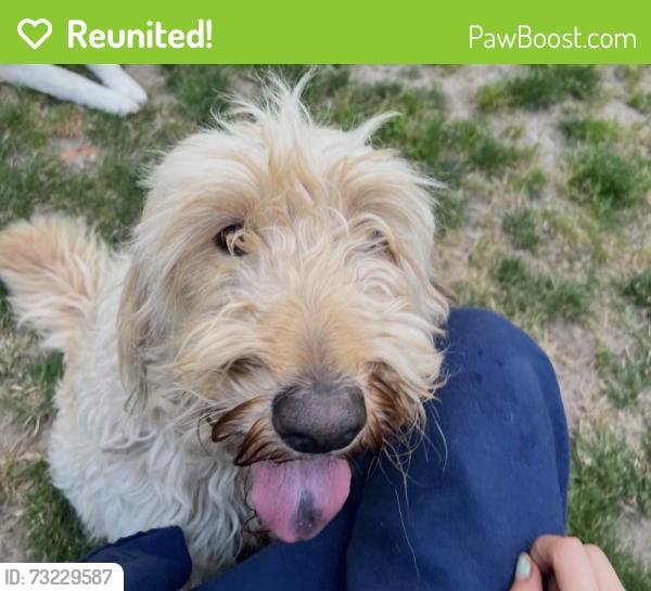 Reunited Female Dog last seen northeast 27th st, newby st in mcminnville OR, McMinnville, OR 97128