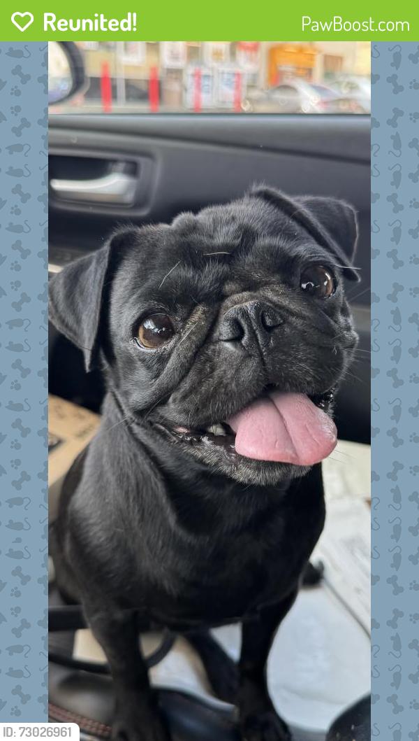 Reunited Unknown Dog last seen Granite and Taft, Riverside, CA 92508