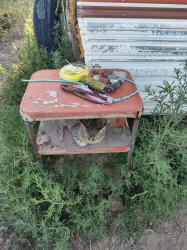 Lost Female Cat last seen Simpson and Indian Hills Road, Moriarty, NM 87035