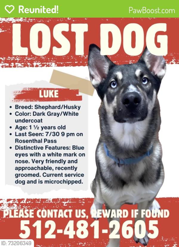 Reunited Male Dog last seen Near Commander Dr, San Antonio, TX 78252, USA, San Antonio, TX 78252