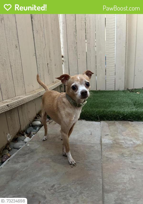 Reunited Male Dog last seen Near Way of The Lord Church. Cross Streets Fair Oaks Blvd & Grant Ave, Carmichael, CA 95608