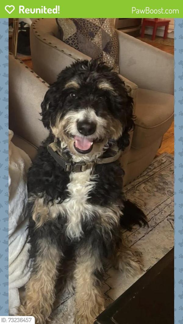 Reunited Female Dog last seen Valley Glen Aparments, Abington Township, PA 19027