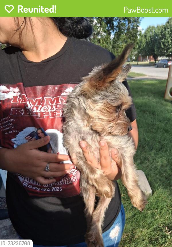 Reunited Male Dog last seen Enon Christopher race, Everman, TX 76140