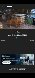 Found/Stray Male Dog last seen Near cypress ave, Kansas City, MO 64127