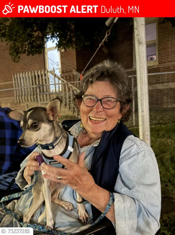 Lost Male Dog last seen 48th and Grand Ave, Duluth, MN 55807