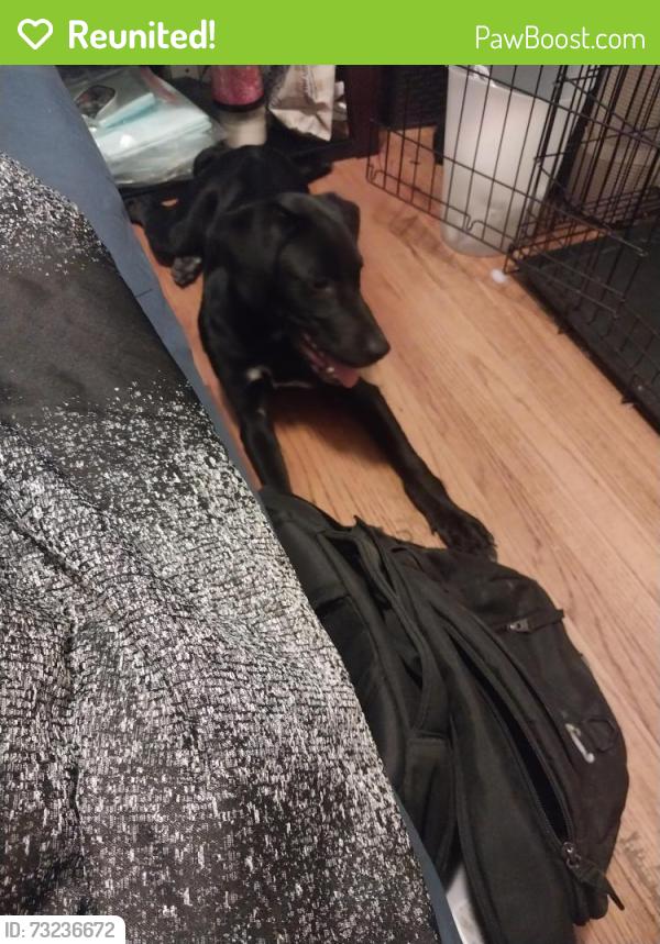 Reunited Male Dog last seen Mills, Kalamazoo, MI 49001