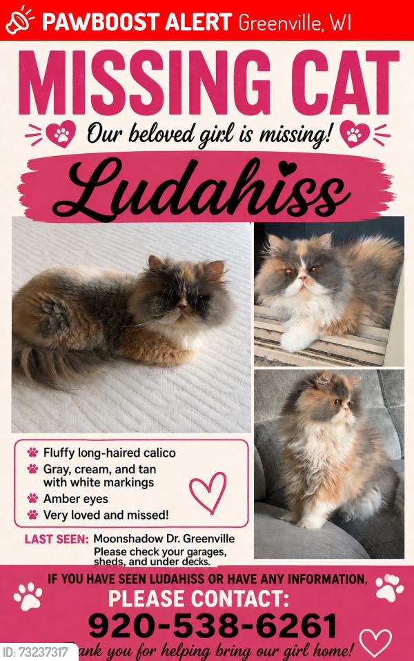 Lost Female Cat last seen Hwy 15, Greenville, WI 54942