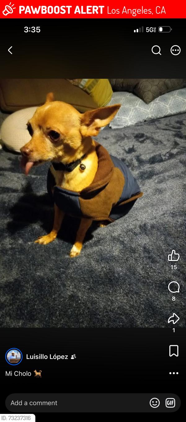 Lost Male Dog last seen Owensmouth & Valerio, Los Angeles, CA 91303