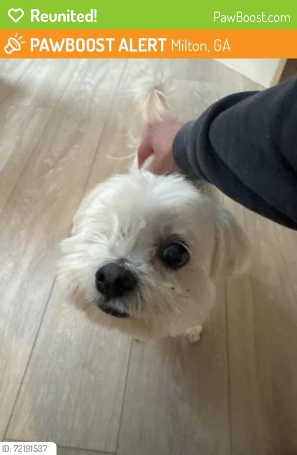 Reunited Male Dog last seen Hagood Rd, Alpharetta, GA 30004