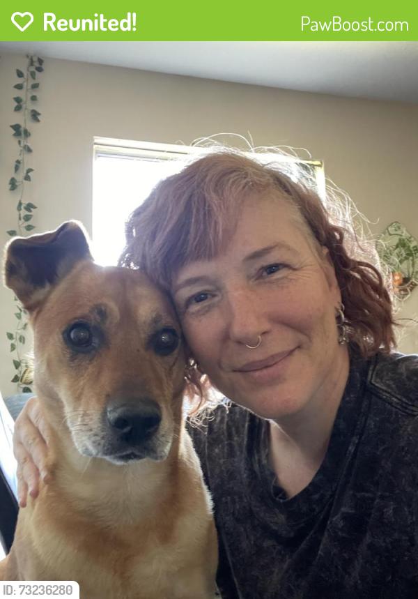 Reunited Male Dog last seen Near Myrtle Ave, Sacramento, CA 95841