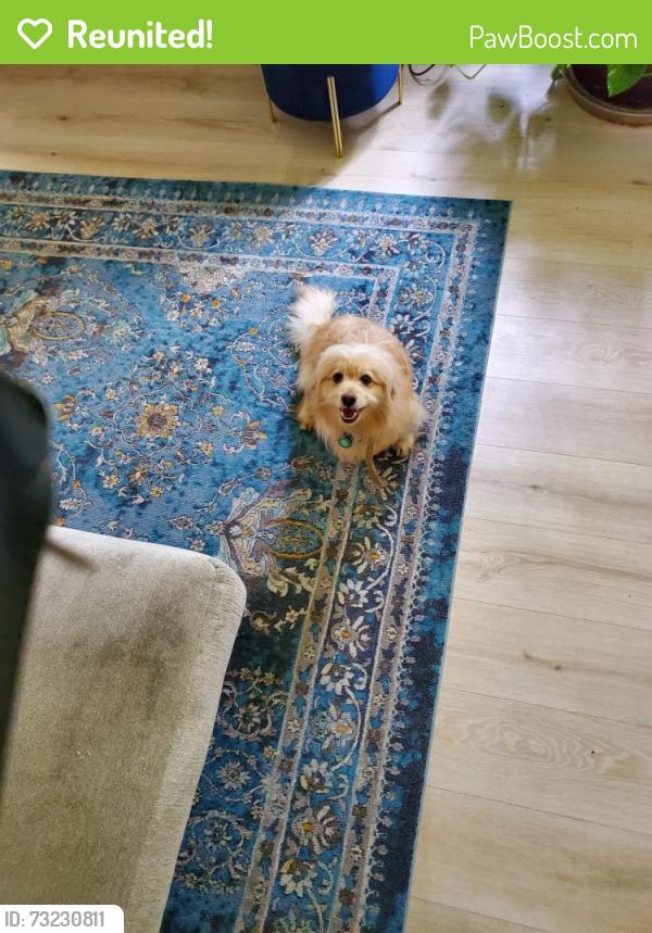 Reunited Male Dog last seen Greensbrook neigboorhood in Houston, TX 77044 Greenbrook Garden Drive, Greensbrook, TX 77044